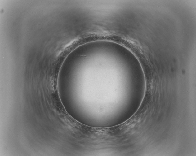 X0000088431205200705221238