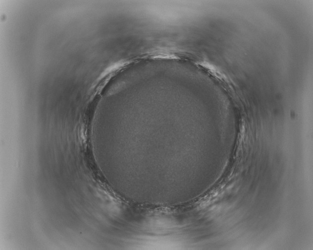 X0000088431206200705221239