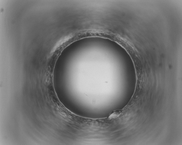 X0000088431207200705221239