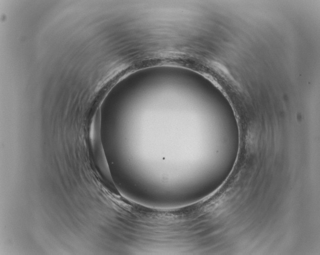 X0000088431209200705221239