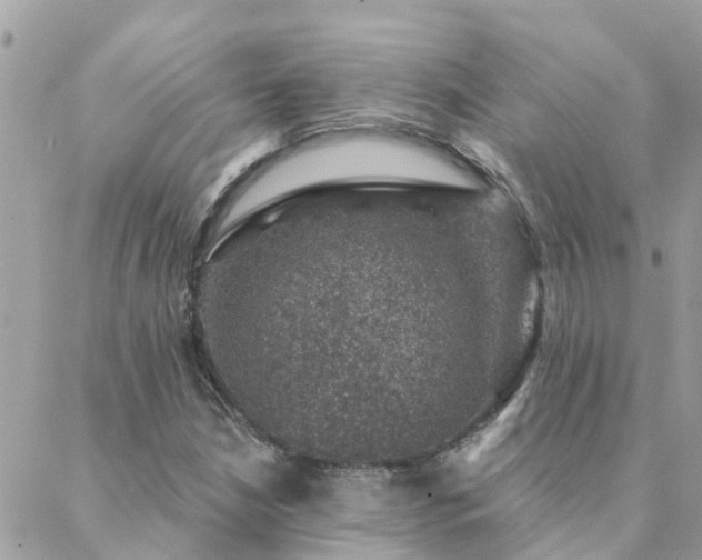 X0000088431210200705221239