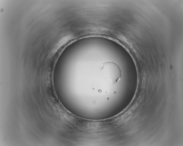 X0000088431211200705221239