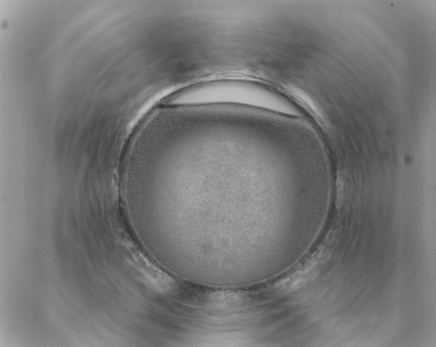 X0000088431212200705221239