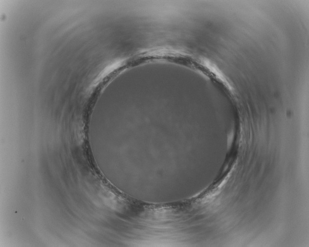 X0000088431213200705221239