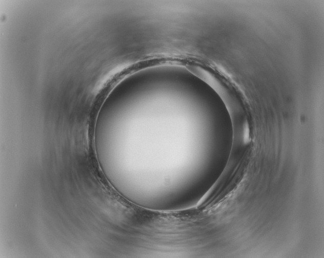 X0000088431214200705221239