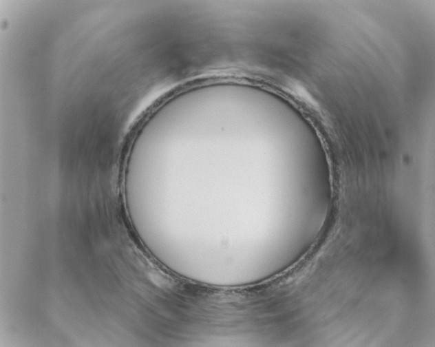 X0000088431216200705221239