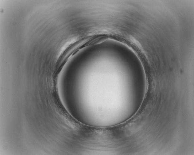 X0000088431218200705221239