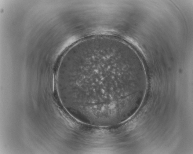 X0000088431219200705221239