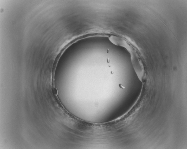 X0000088431220200705221239