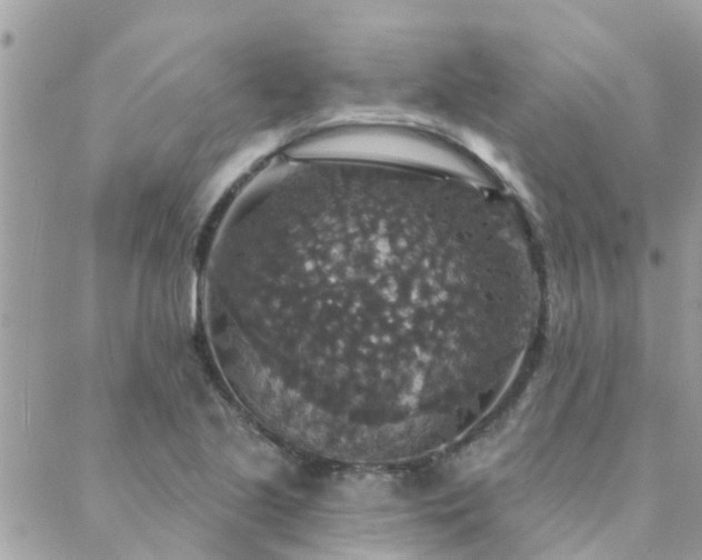 X0000088431221200705221239