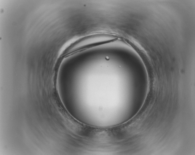 X0000088431222200705221239