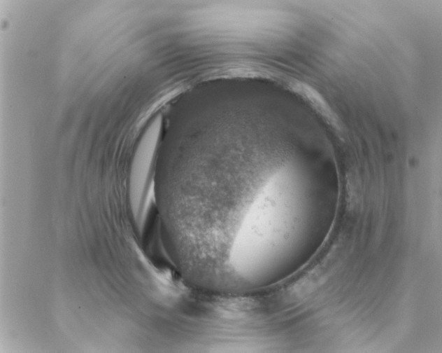 X0000088431225200705221239