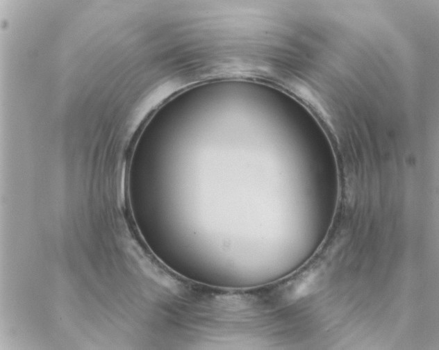 X0000088431227200705221239