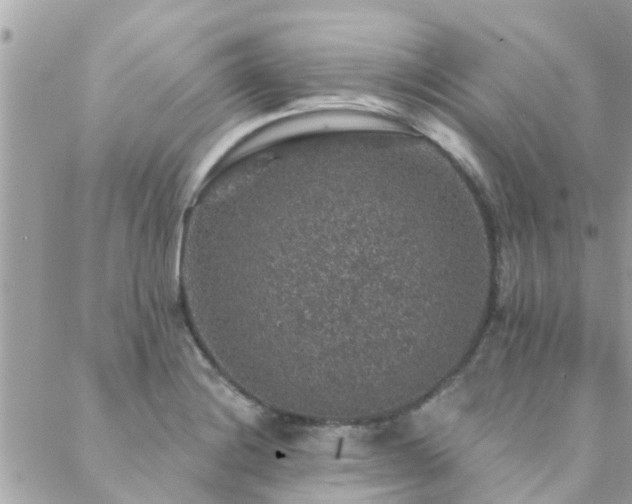 X0000088431228200705221239