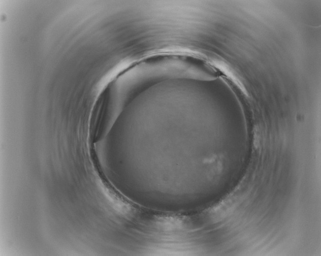 X0000088431229200705221239