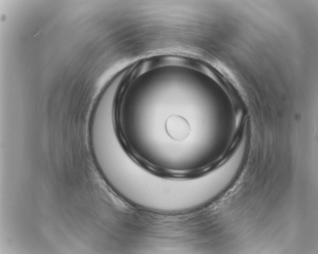 X0000088431230200705221239