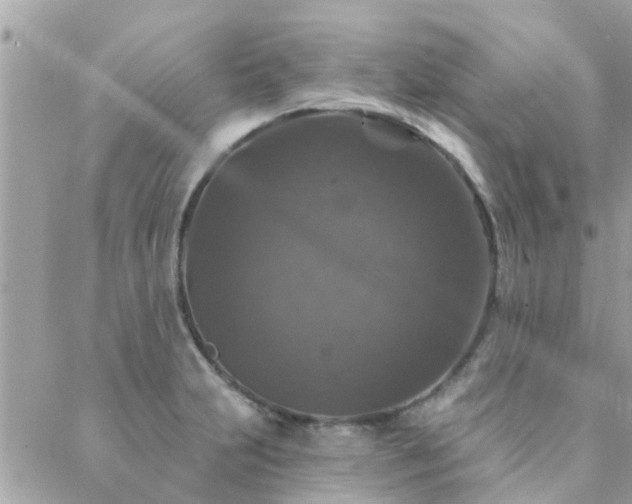 X0000088431231200705221239