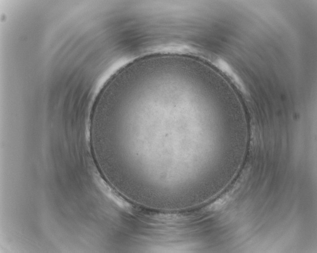 X0000088431232200705221239