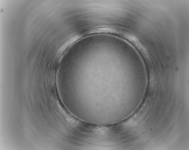 X0000088431233200705221239