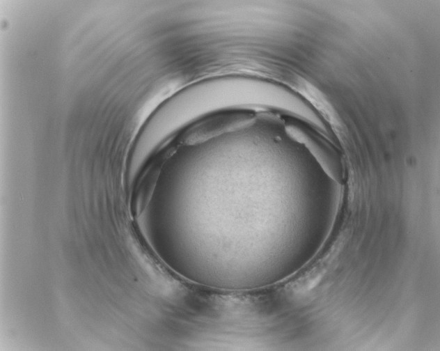 X0000088431234200705221239