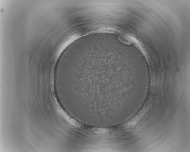 X0000088431235200705221239