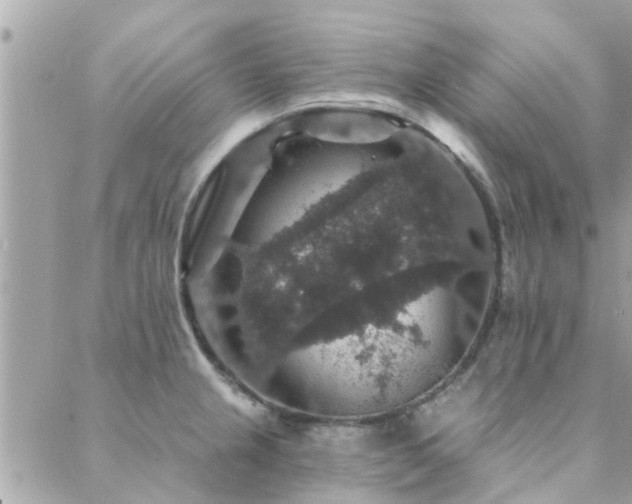 X0000088431237200705221239