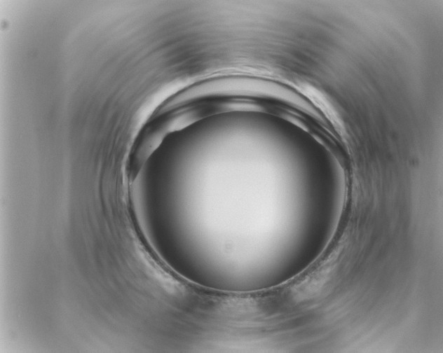 X0000088431238200705221239