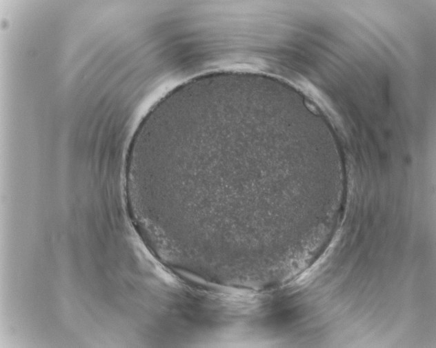 X0000088431240200705221239