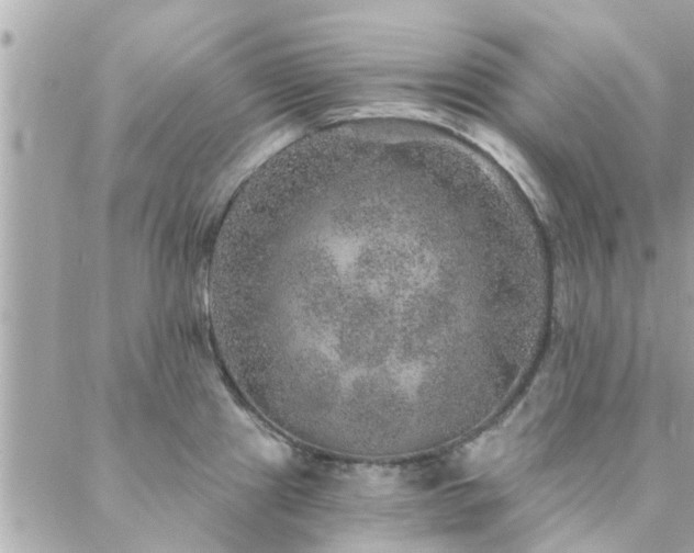 X0000088431241200705221239