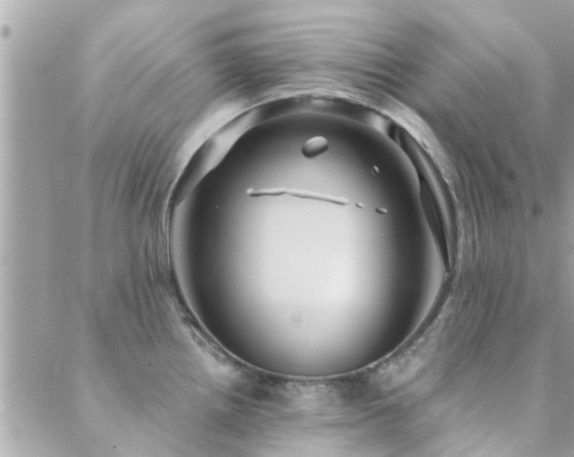 X0000088431242200705221239