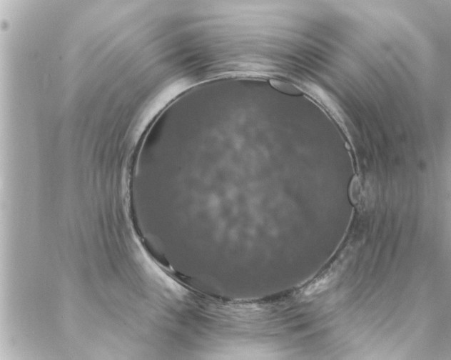 X0000088431243200705221239