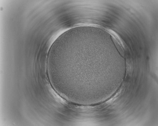 X0000088431244200705221239