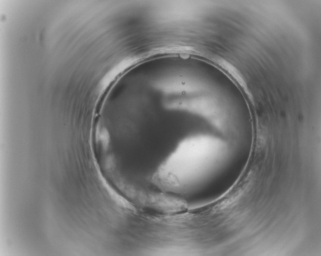 X0000088431245200705221239