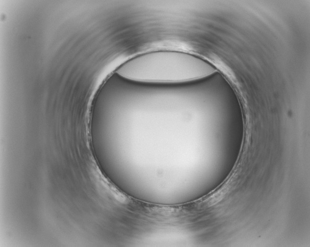 X0000088431248200705221239