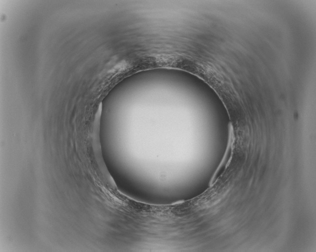 X0000088431249200705221238