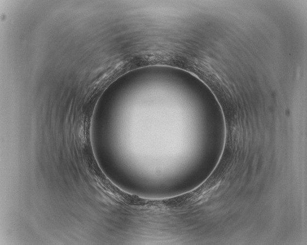 X0000088431250200705221238