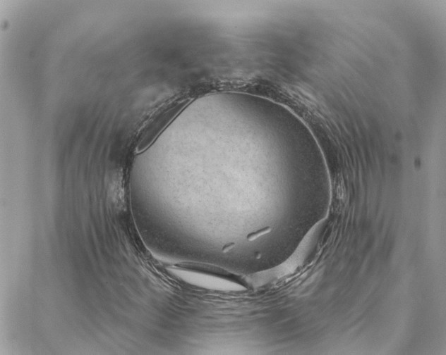 X0000088431252200705221238