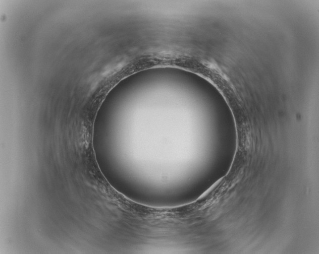 X0000088431253200705221238