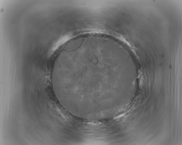 X0000088431255200705221238