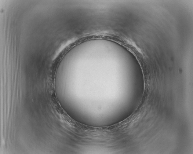 X0000088431256200705221238