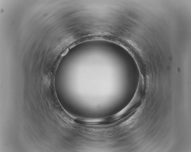 X0000088431257200705221238