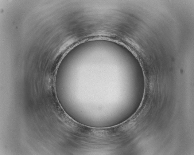 X0000088431258200705221238