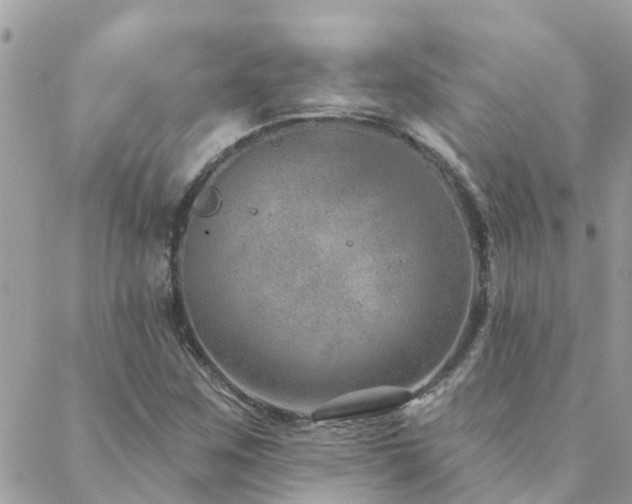 X0000088431259200705221238