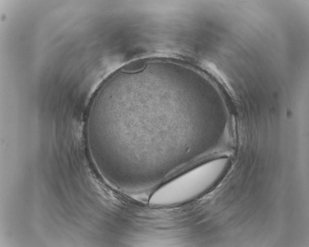 X0000088431260200705221238