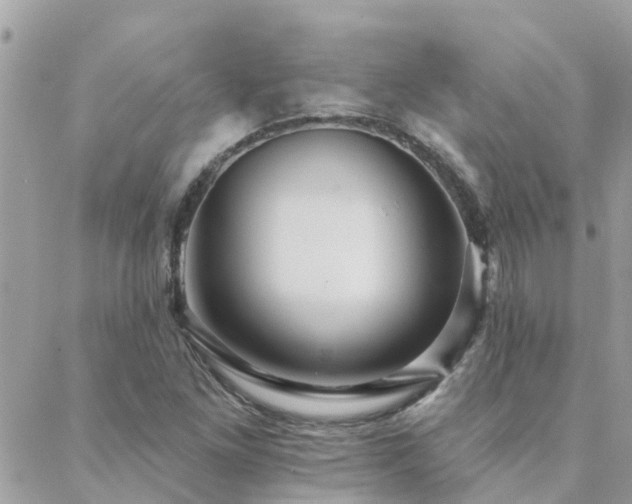 X0000088431261200705221238