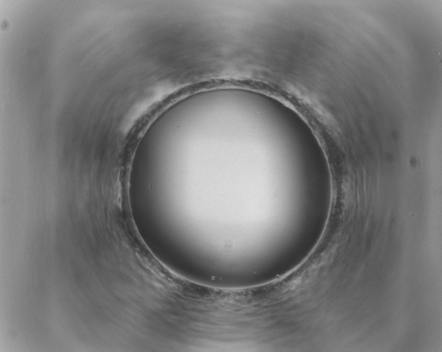 X0000088431262200705221238