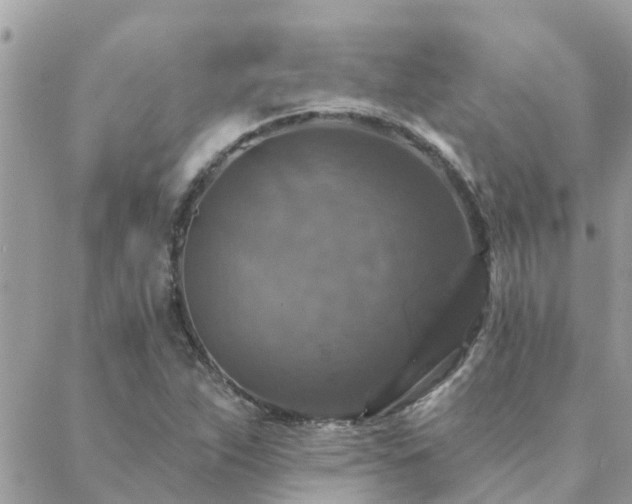 X0000088431263200705221238