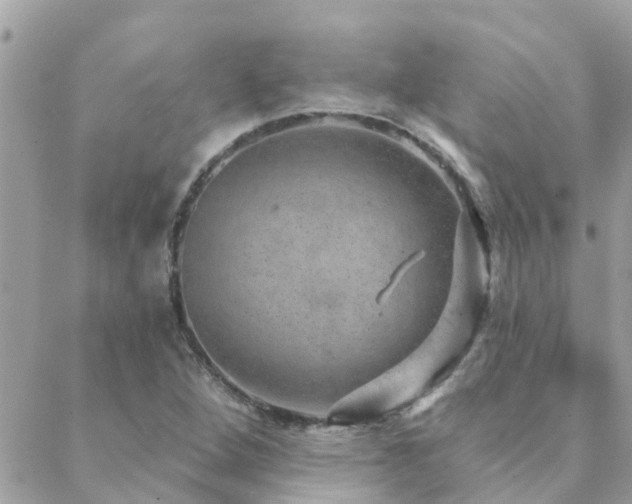 X0000088431264200705221238