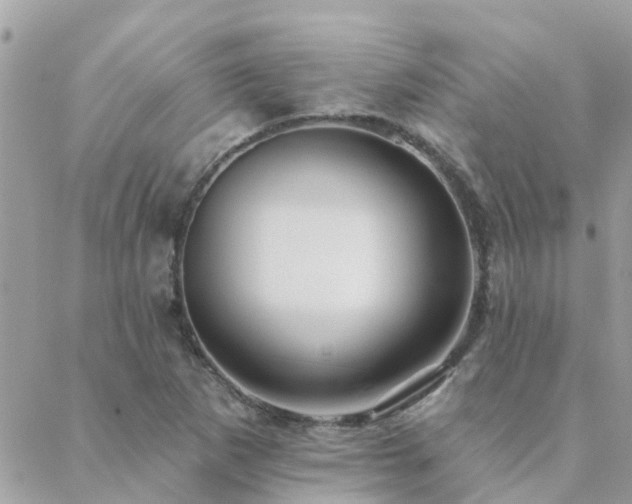 X0000088431265200705221238