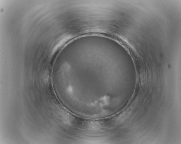 X0000088431266200705221238